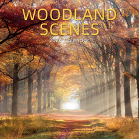 2026 Calendar Woodland Scenes Square Wall, The Gifted Stationery GSC26285