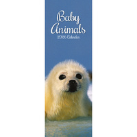 2026 Calendar Baby Animals Slim Wall, The Gifted Stationery GSC26422