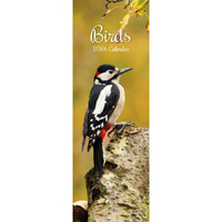 2026 Calendar Birds Slim Wall, The Gifted Stationery GSC26424