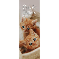 2026 Calendar Cats & Kittens Slim Wall, The Gifted Stationery GSC26427