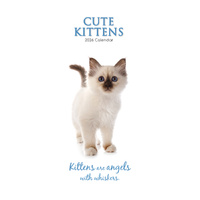 2026 Calendar Cute Kittens Slim Wall, The Gifted Stationery GSC26429