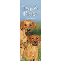 2026 Calendar Dogs & Puppies Slim Wall, The Gifted Stationery GSC26430