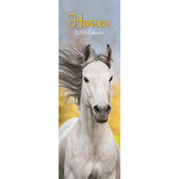 2026 Calendar Horses Slim Wall, The Gifted Stationery GSC26433