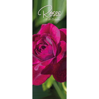 2026 Calendar Roses Slim Wall, The Gifted Stationery GSC26436