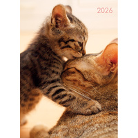 2026 Planner Cats & Kittens A5 Week to View Padded, The Gifted Stationery GSC26453