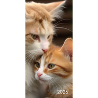 2026 Planner Cats & Kittens Pocket Week to View, The Gifted Stationery GSC26494