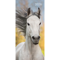 2026 Planner Horses Pocket Week to View, The Gifted Stationery GSC26507