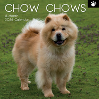 2026 Calendar Paw Prints Chow Chow 16-Month Square Wall, The Gifted Stationery GSC26551