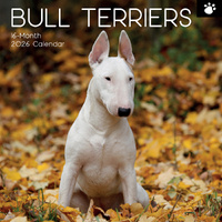 2026 Calendar Paw Prints Bull Terriers 16-Month Square Wall, The Gifted Stationery GSC26552