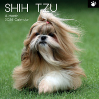 2026 Calendar Paw Prints Shih Tzu 16-Month Square Wall, The Gifted Stationery GSC26553