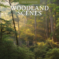 2026 Calendar Woodland Scenes 16-Month Square Wall, Red Robin RR261302