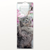 2026 Calendar Adorable Cats Slim Wall, Red Robin RR263001