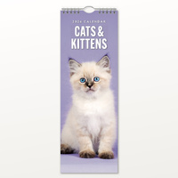 2026 Calendar Cats & Kittens Slim Wall, Red Robin RR263007