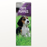 2026 Calendar Cute Puppies Slim Wall, Red Robin RR263009