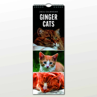 2026 Calendar Ginger Cats Slim Wall, Red Robin RR263012