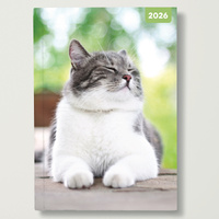 2026 Diary Adorable Cats A5 Week to View Padded, Red Robin RR265001