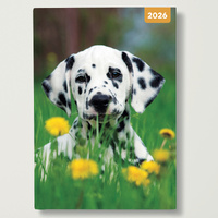 2026 Diary Adorable Dogs A5 Week to View Padded, Red Robin RR265002