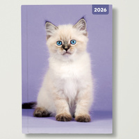 2026 Diary Cats & Kittens A5 Week to View Padded, Red Robin RR265007