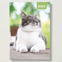 2026 Diary Adorable Cats A6 Week to View Flexi, Red Robin RR267001