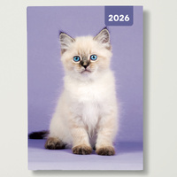 2026 Diary Cats & Kittens A6 Week to View Flexi, Red Robin RR267007