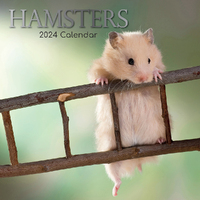 2024 Calendar Hamsters Square Wall by The Gifted Stationery GSC23897