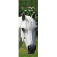 2024 Calendar Horses Slim Wall by The Gifted Stationery GSC23919