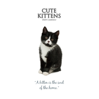 2024 Calendar Cute Kittens Slim Wall by The Gifted Stationery GSC23920