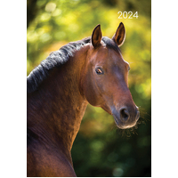 2024 Diary Horses A5 Week to View Padded, The Gifted Stationery GSC23956