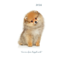 2024 Diary Adorable Dogs Pocket Week to View by The Gifted Stationery GSC23982