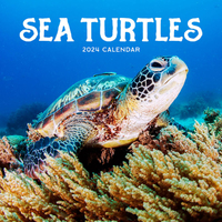 2024 Calendar Sea Turtles Square Wall, Paper Pocket CAB35