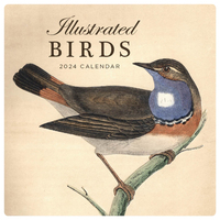 2024 Calendar Illustrated Birds Square Wall, Paper Pocket CAB45