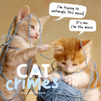2024 Calendar Cats Crimes Square Wall, Paper Pocket CAB9