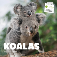 2024 Calendar Koalas Square Wall, Paper Pocket CAB23