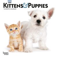 2022 Calendar Kittens & Puppies 16-Month Mini Wall by Browntrout BT29782
