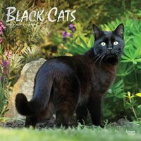 2022 Calendar Black Cats 16-Month Square Wall Foil by Browntrout BT38456
