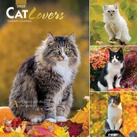 2022 Calendar Cat Lovers 16-Month Square Wall Foil by Browntrout BT38548