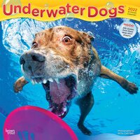 2022 Calendar Underwater Dogs 16-Month Square Wall by Browntrout BT40497