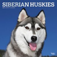 2022 Calendar Siberian Huskies 16-Month Square Wall Foil by Browntrout BT41654