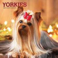 2022 Calendar Yorkshire Terriers 16-Month Square Wall Foil by Browntrout BT43290
