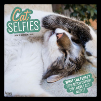 2024 Calendar Cat Selfies 16-Month Square Wall Browntrout BT62215