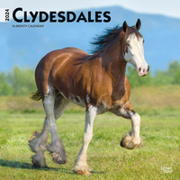 2024 Calendar Clydesdales 16-Month Square Wall Browntrout BT62352