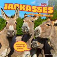 2024 Calendar Jackasses 16-Month Square Wall Browntrout BT63359