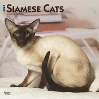 2024 Calendar Siamese Cats 16-Month Square Wall Browntrout BT65056