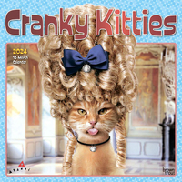 2024 Calendar Avanti Cranky Kitties 16-Month Square Wall Browntrout BT66503