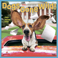2024 Calendar Avanti Dogs Gone Wild 16-Month Square Wall Browntrout BT66534