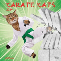 2024 Calendar Karate Kats 16-Month Square Wall Browntrout BT66954