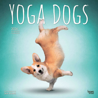 2024 Calendar Yoga Dogs 16-Month Square Wall Browntrout BT67043