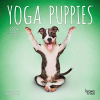 2024 Calendar Yoga Puppies 16-Month Mini Wall Browntrout BT67111