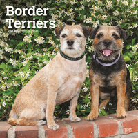 2024 Calendar Border Terriers 16-Month Square Wall Browntrout BT67807
