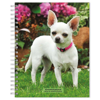 2024 Planner Chihuahuas 16-Month Engagement Browntrout BT67999